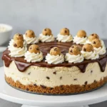 No Bake Cookie Dough Cheesecake 6 no bake cheesecake with cookie dough